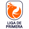 Liga de Primera