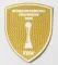 2025 FIFA Intercontinental Champions Gold Badge