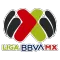 Liga BBVA MX