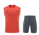 Bayern Munich 2025/26 Kit de entrenamiento sin mangas Rojo Equipo de entrenamiento sin mangas del Bayern de Múnich 2025/26 Rojo