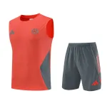 Equipo de entrenamiento sin mangas del Bayern de Múnich 2025/26 Rojo