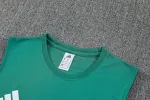 Kit de treino do Liverpool 2025/26 sem mangas, verde