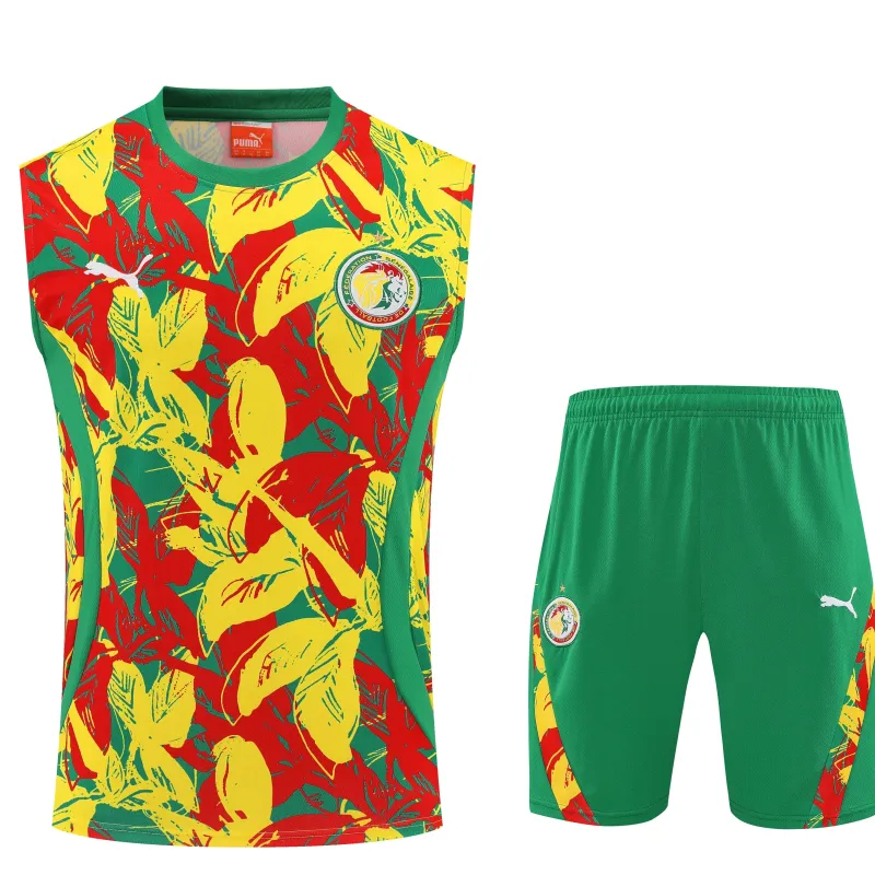Senegal 2025 mouwloos trainingspak geel