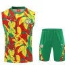 Senegal 2025 Sleeveless Training Kit Yellow