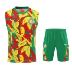 Senegal 2025 mouwloos trainingspak geel