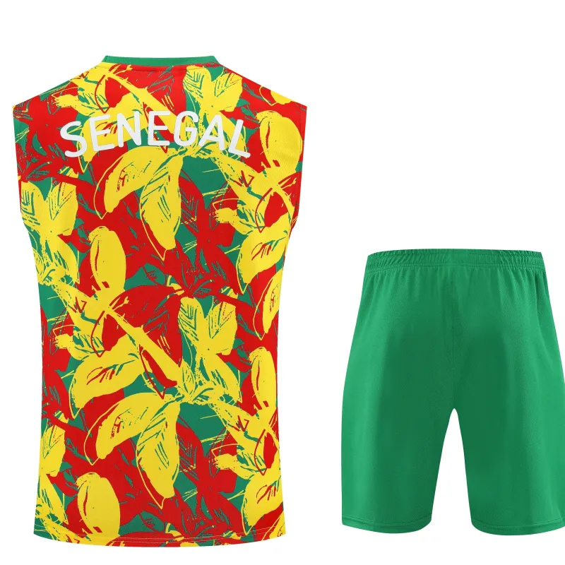 Senegal 2025 mouwloos trainingspak geel