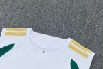 Italy 2026 World Cup Sleeveless Training Kit White