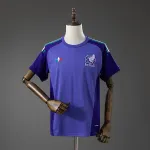 Mexico 2026 GK Away Jersey