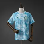 Palmeiras 26/27 Pre-Match Jersey Palmeiras 26/27 Pre-Match Jersey