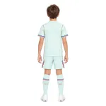 France Youth Jersey 2026 World Cup Away - AI model preview, back view, socks optional; boots for styling