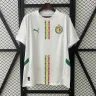2025 Senegal home soccer jersey