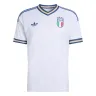 Italy 2026 World Cup Away Jersey