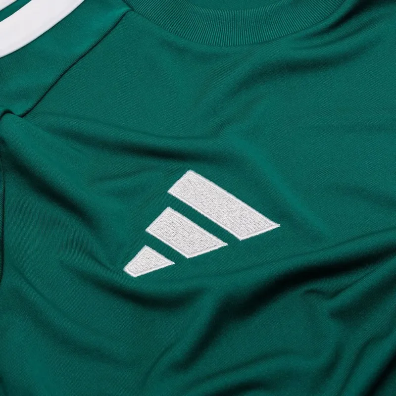 Camisola de guarda-redes da Alemanha do Campeonato do Mundo de 2026 Manga comprida verde