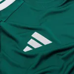Camisola de guarda-redes da Alemanha do Campeonato do Mundo de 2026 Manga comprida verde