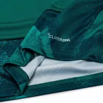 Camisola de guarda-redes da Alemanha do Campeonato do Mundo de 2026 Manga comprida verde