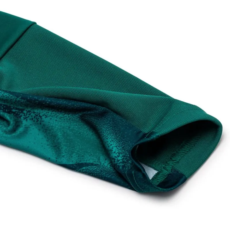 Camisola de guarda-redes da Alemanha do Campeonato do Mundo de 2026 Manga comprida verde
