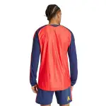 Soccer Jersey Spain 2026 World Cup Home Long Sleeve Player Version