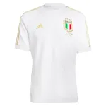 2023 Italy 125th Anniversary Jersey 2023 Italy 125th Anniversary Jersey