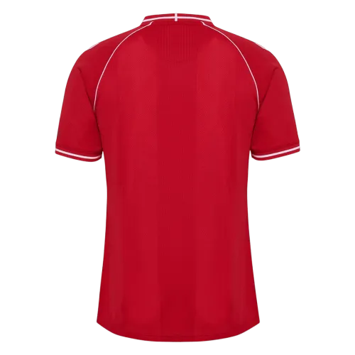 2026 Denmark Home Jersey
