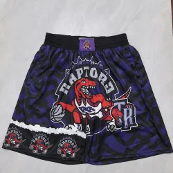 Toronto Raptors Pocket Purple Basketball Shorts - product photo Toronto Raptors Pocket Purple Basketball Shorts