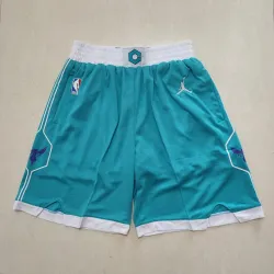 Charlotte Hornets Green Basketball Shorts - product photo Charlotte Hornets Green Basketball Shorts