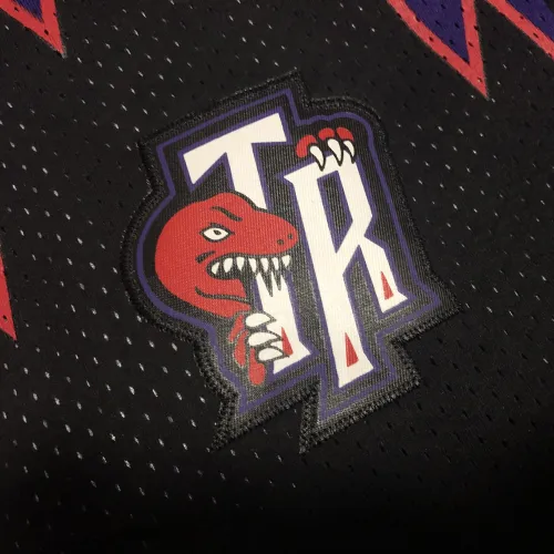 Toronto Raptors Throwback Purple Basketball Shorts