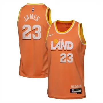 LeBron James Cleveland Cavaliers Nike 2025/26 Orange Swingman Jersey - City Edition