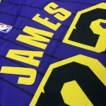 Los Angeles Lakers LeBron James #23 Camiseta morada de hombre