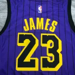 Los Angeles Lakers LeBron James #23 Camiseta morada de hombre
