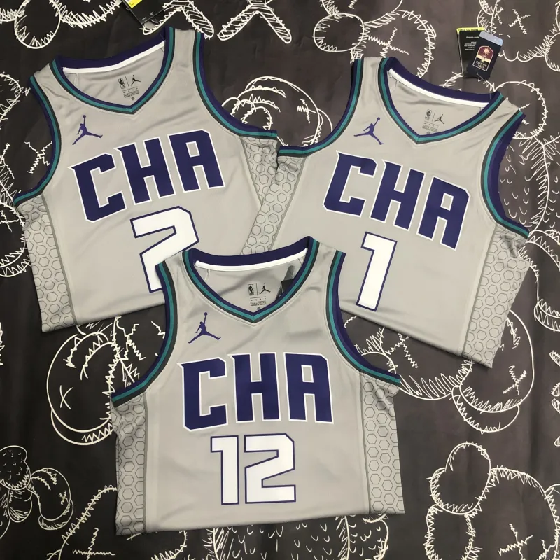 2019-20 Charlotte Hornets Gray LaMelo Ball #1 Men’s Jersey