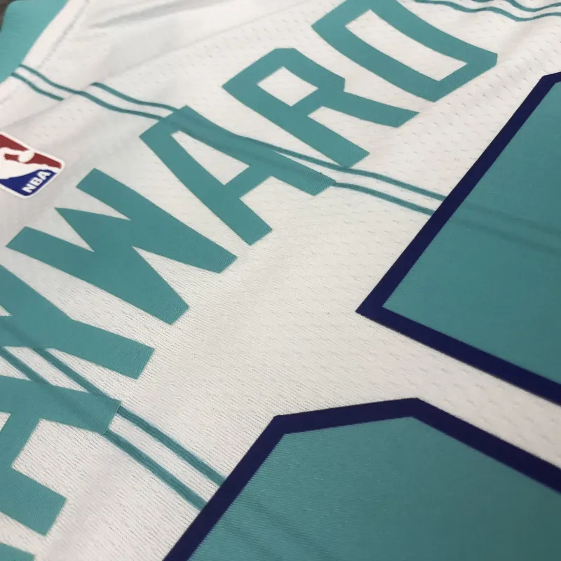 2020-21 Charlotte Hornets White Gordon Hayward #20 Men’s Jersey