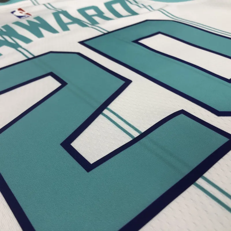2020-21 Charlotte Hornets White Gordon Hayward #20 Men’s Jersey