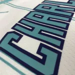 2020-21 Charlotte Hornets White Gordon Hayward #20 Men’s Jersey