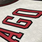 2023/24 Chicago Bulls City Edition Lonzo Ball #2 Men’s Jersey