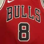 2023/24 Chicago Bulls Zach LaVine #8 Men’s Jersey