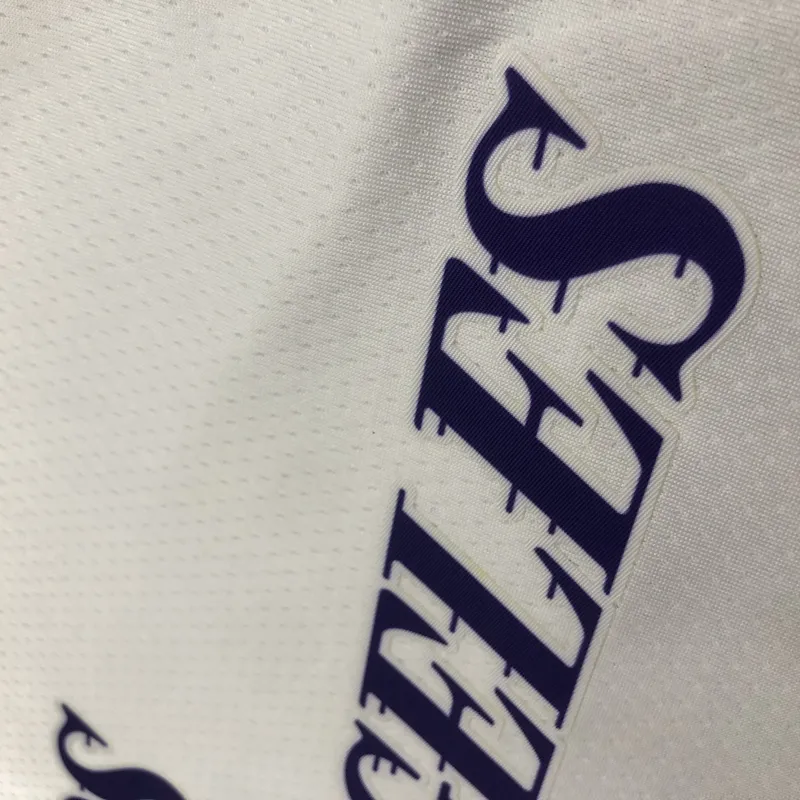 2023/24 Los Angeles Lakers City Edition LeBron James #6 Men’s Jersey