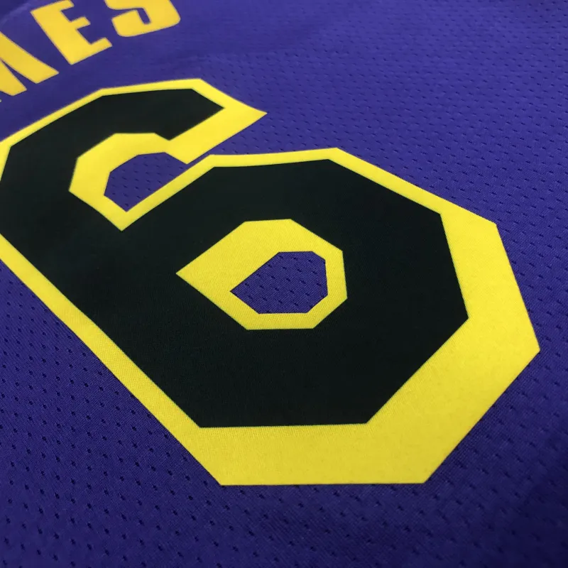 2023/24 Los Angeles Lakers Jordan Edition LeBron James #6 Men’s Jersey