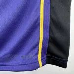 2023/24 Los Angeles Lakers Jordan Edition Bronny James #9 Men's Jersey