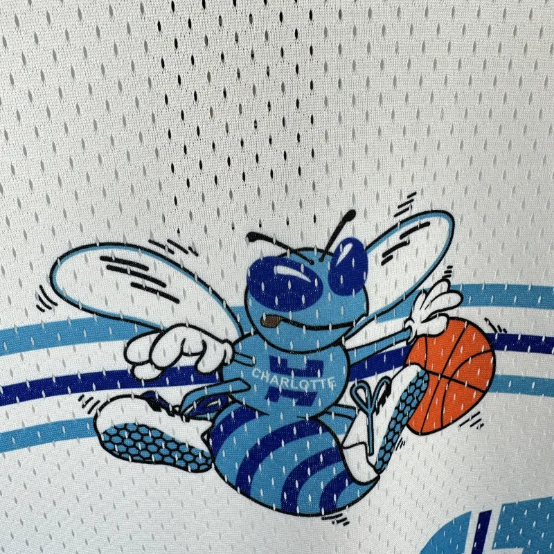 2026/27 Charlotte Hornets Mitchell & Ness Retro Short Sleeve Men’s Jersey