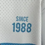 2026/27 Charlotte Hornets Mitchell & Ness Retro Short Sleeve Men’s Jersey