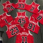 Chicago Bulls 75. Jubiläum Scottie Pippen #33 Herren-Trikot