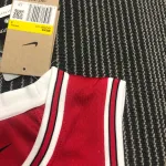 Chicago Bulls 75. Jubiläum Scottie Pippen #33 Herren-Trikot