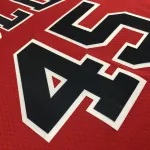 Chicago Bulls 75th Anniversary Michael Jordan #45 Men’s Jersey