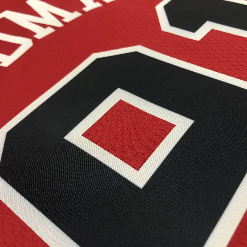 Chicago Bulls 75th Anniversary Dennis Rodman #91 Men’s Jersey