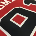 Chicago Bulls 75th Anniversary Dennis Rodman #91 Men’s Jersey