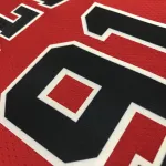 Chicago Bulls 75th Anniversary Dennis Rodman #91 Men’s Jersey