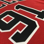 Chicago Bulls 75th Anniversary Dennis Rodman #91 Men’s Jersey