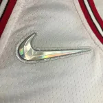 Chicago Bulls 75th Anniversary Michael Jordan #45 Men’s Jersey