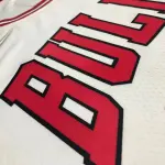 Chicago Bulls 75th Anniversary Michael Jordan #45 Men’s Jersey