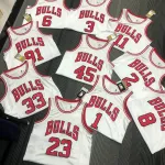 Chicago Bulls 75th Anniversary Dennis Rodman #91 Men’s Jersey